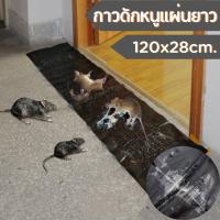 แผ่นกาวดักหนู ขนาด 120CM x 28CM กาว ดักหนูแผ่นใหญ่ ดักหนู