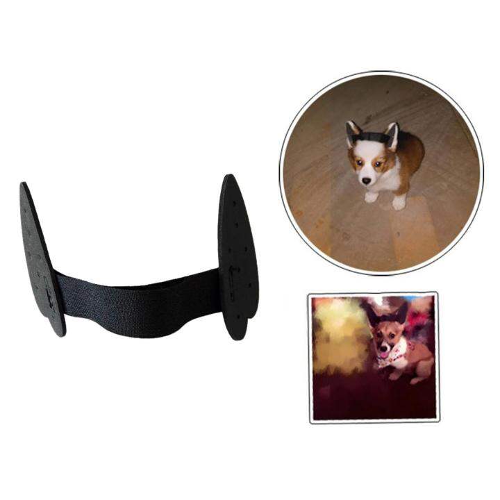 Aimishion Dog Ear Stand up Support Ear Care Erect Ear Ear Sticker Tools