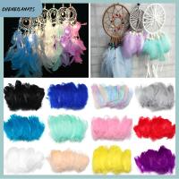 CHENEILANA9S 50pcs แฟชั่น สีธรรมชาติ เครื่องประดับงานแต่งงาน ของตกแต่งบ้าน ขนนกหลากสี ขนห่าน ตกแต่งเครื่องแต่งกาย