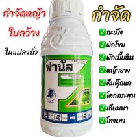 กำจัดหญ้าใบกว้าง โฟมีซาเฟน ฟานัส สารกำจัดวัชพืช ใบกว้าง ใช้ในถั่วเขียวผิวมัน ถั่วเขียวผิวดำ ถั่วเหลือง ขนาด 500 ซีซี