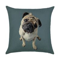 (Inventory) Cute dog 3D printed pillowcases for sofas, chairs, and home decor (contact the seller for free customization). Double sided printing design for pillows)