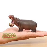 Animal Kingdom - โมเดล Hippo ฮิปโป ขนาด 10.00 CM (จากสงขลา)