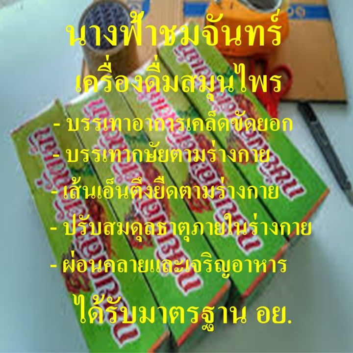 เครื่องดื่มสมุนไพร-นางฟ้าชมจันทร์-2-ขวด-กษัยผสมถั่งเฉ่า-น้ำสมุนไพร-กษัย-ถั่งเฉ้า-เจริญอาหาร-เคล็ดขัดยอก-เส้นตึงยึด-นางฟ้าชมจันทร์