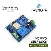 【YD】 ATHOM pre flashed Tasmota 1CH 5V 12V 8V-80V WiFi Relay Module Inching/Self-locking Entry Access Door