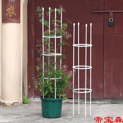 [COD] Balcony wrought iron climbing rattan flower rose clematis outdoor bracket green plant pillar indoor fragrance support rod