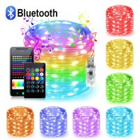 10M 25M 50M Smart Bluetooth Dreamcolor Led Strip 5V USB RGBIC WS2812B Led String Waterproof Fairy Light Outdoor Home Decoration LED Strip Lighting