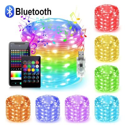 Bluetooth RGBIC WS2812b 5V Fairy Light String 5M 10M 10Leds/M Waterproof Dreamcolor RGB Chasing Decor Room Outdoor Holiday Light Fairy Lights