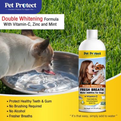 Pet Protect Original Formula (สีเหลือง)น้ำยาดับกลิ่นปากสำหรับ สุนัข (ใช้ผสมน้ำดื่ม ลดคราบหินปูน ลดกลิ่นปาก)