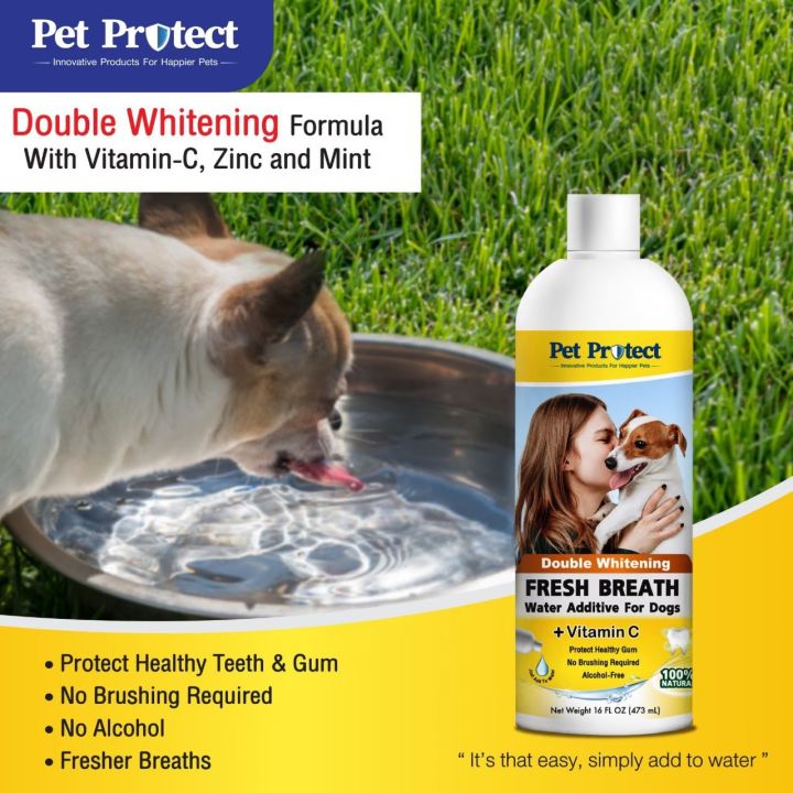 pet-protect-original-formula-สีเหลือง-น้ำยาดับกลิ่นปากสำหรับ-สุนัข-ใช้ผสมน้ำดื่ม-ลดคราบหินปูน-ลดกลิ่นปาก