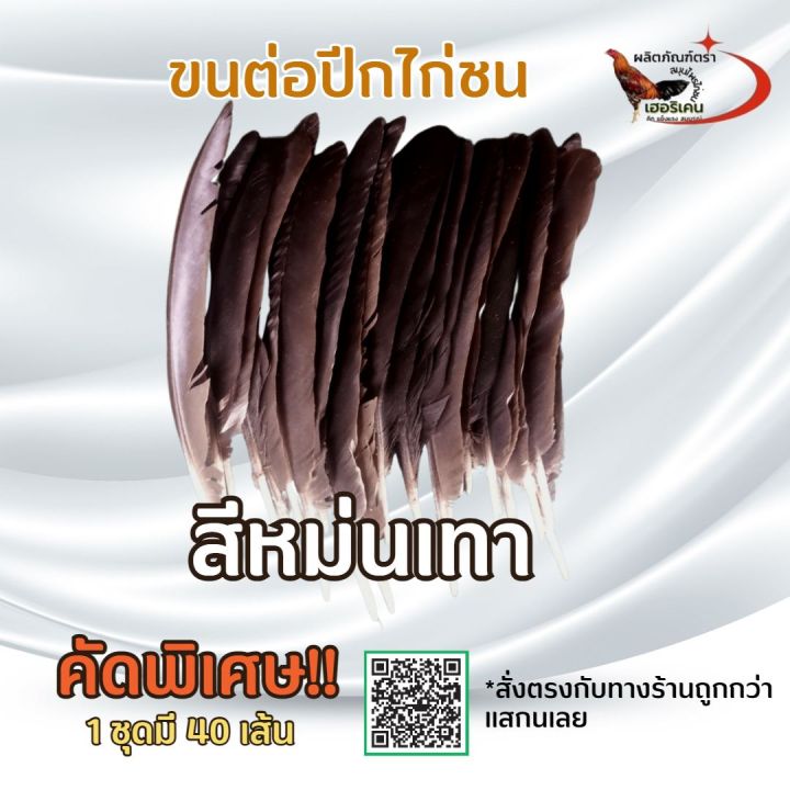 ปีกต่อไก่ชนไม่เปาะ-ปีกแข็งแรง-คัดพิเศษ-ขนต่อปีกไก่ชน-1ชุดมี-40เส้น-ขาว-สา-ดู่-กรด-หม่น-ดอก