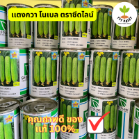 เมล็ดพันเเตงกวาลูกผสมโนเบลสตาร์ ตราซีดไลน์ แตงโนเบล  ขนาด 100 กรัม หมดอายุ 9/2025 TTT Kaset