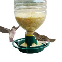 Outdoor Bird Feeder Automatic Hanging Plastic Feed Bowl 1Pcs For Parrot Pigeon Pet Indoor Feeding Supplies Bottle Mouth Docking