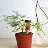 【✔In stock】 jh33z86 2ชิ้นหยดอัตโนมัติ Waterer Spike อ่อนโยน Houseplant ต้นไม้ระบบรดน้ำ