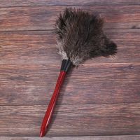 Ostrich Cleaning Feather Duster Ostrich Duster Ostrich Feather Duster Soft Feathers Duster From furniture to fan blades of various jobs Photo Color