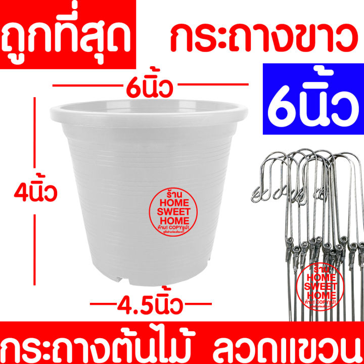 กกระถางต้นไม้-ลวดแขวนกระถาง-กระถางขาว-ขนาด-6-นิ้ว-กระถางพลาสติก-กระถางกลม-กระถางต้นไม้พลาสติก-กระถางปลูกต้นไม้-กระถางดำ-กระถางพลาสติกดำ-flower-pot