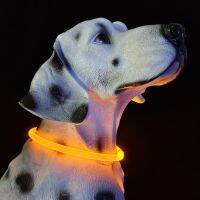 dog collar rechargeable best welcome fashion printed dog collar 2021 dog collar and leash