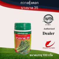 เมล็ดพันธุ์ กวางตุ้งดอกบางบาล 35 100g