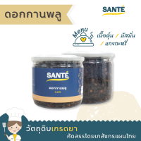 SANTÉ ซานเต้ ดอกกานพลู Cloves สมุนไพร 120 กรัม