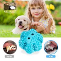 Toys For Dogs Ball Interactive Toys Dog Chew Toys Tooth Cleaning Elasticity Small Big Dog Toys Rubber Pet Ball Toys Toys