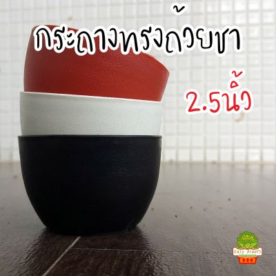 กระถางแคคตัส ขนาด 2.5 นิ้ว แพ๊ค 10 ชิ้น คละสีได้ (แจ้งในแชท) กระถางแคตตัส กระถางไม้จิ๋ว กระถางพลาสติก เหนียว สวย ทน คุ้ม ของต้องมี