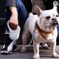 Rabbit Selection Pet Petkit Go Shine Dog Retractable Leash 3m.I สายจูงสัตว์เลี้ยงอัจฉริยะสายยาว 3 เมตร