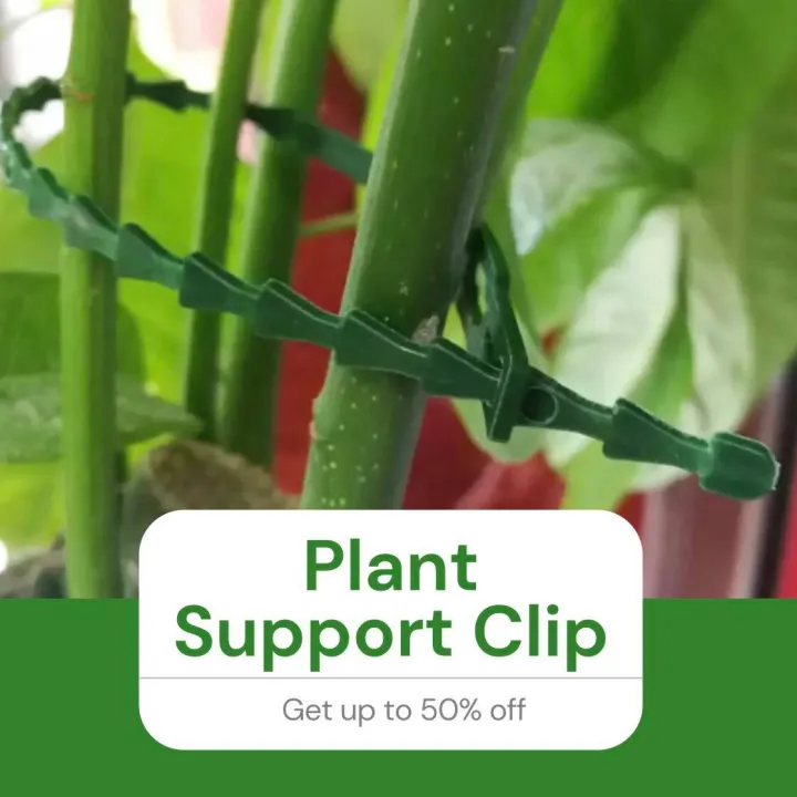 Plant Support Clip Tie 3 Pcs. Garden Accessories Lazada PH