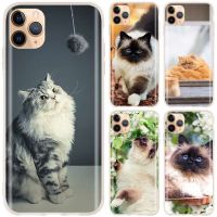 ☸┇ Persian cat Soft Silicone Phone Case For iPhone 13 12 11 Pro X XR XS Max XR 6 7 8 G Plus SE 2020 Cover