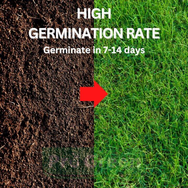 PROGREEN Premium Japanese Grass Seeds Cow Grass Bermuda Grass