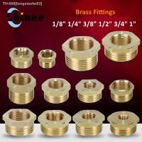 ஐ Brass Adapter Fitting BSP Reducing Hexagon Bush Bushing Male to Female Connector Fuel Water Gas Oil 1/8 1/4 3/8 1/2 3/4 1