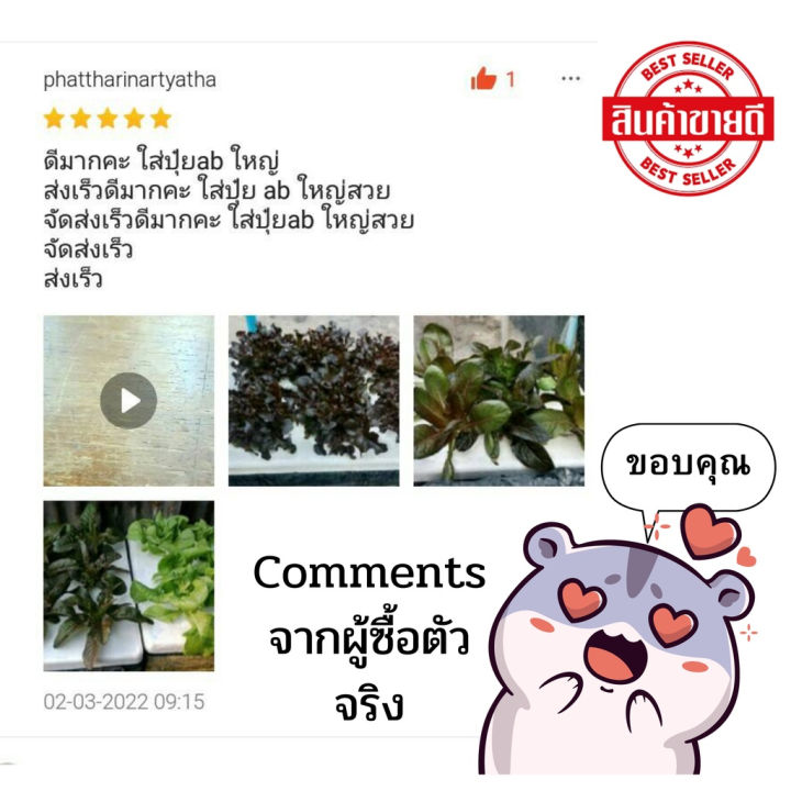 ปุ๋ยab-ขนาด500มิลลิลิตร-a-b-เพียงแค่-69-บาท-ปลูกผักสลัด-ไฮโดรโปนิกส์-ab-คุณภาพดี-คุ้มราคา-เอสเคยู-001-ช้อป