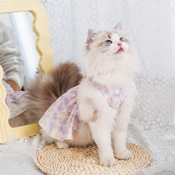 lavender-pet-dress-เดรสสัตว์เลี้ยง-เดรสแมว-ชุดกระโปรงหมา-เสื้อแมว-ชุดสัตว์เลี้ยง