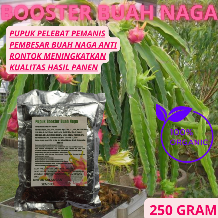 Pupuk Booster Pelebat Buah Naga Organik / Pupuk Naga Pemacu Dan Pelebat ...