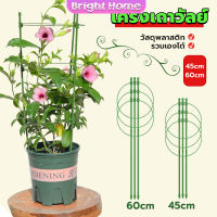 โครงเถาวัลย์ เสามะเขือเทศ โครงปลูก อุปกรณ์สำหรับพืชไม้เลื้อย 45cm 60cm plant trellis