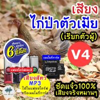 ?โปรดี!! (MP3 เสียงต่อสัตว์) เสียงไก่ป่าเมียV.4 [6ชั่วโมง] ใส่แฟลชไดร์ฟ/เมมโมรี่ มี เสียงดี ชัด100% ไม่มีโฆษณาแทรก ส่งเร็ว? แฟลชไดร์ฟ typ c