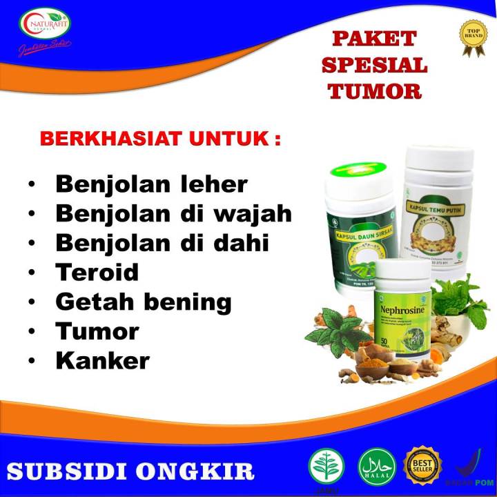 Obat Tumor Paling Ampuh, Obat Penyakit Kanker &Tumor Jinak dan Ganas