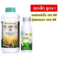 ปุ๋ยน้ำ แตกยอดดี ใบเขียว สมบูรณ์แข็งแรง ชุดเล็ก เอฟอชจับใบ 100 cc + ปุ๋ยน้ำแกรมม่าทู 500 cc ผลโต เร่งดอก เร่งผล สูตร 1