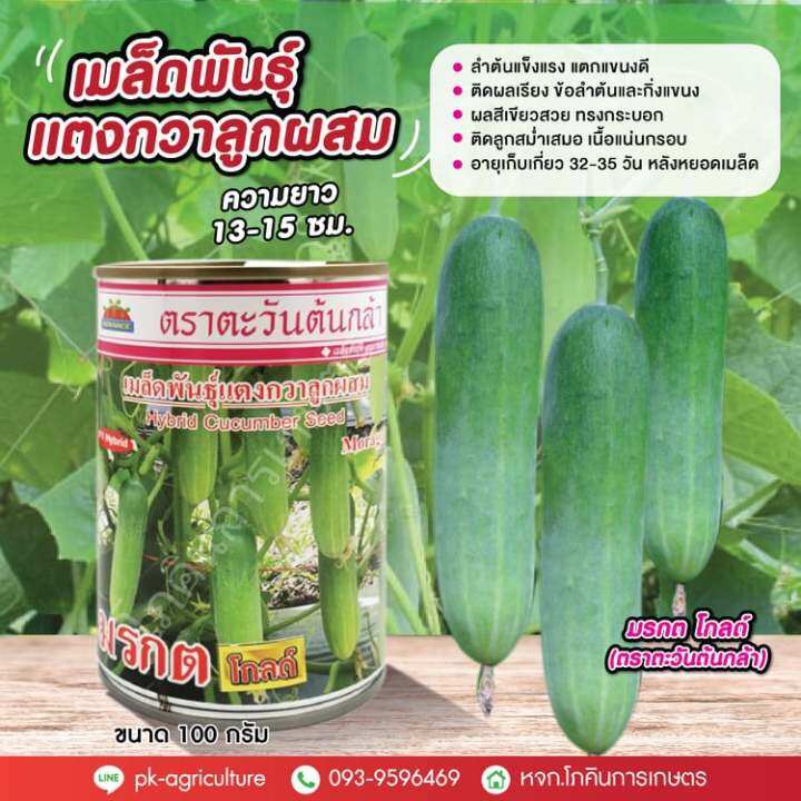 เมล็ดพันธุ์แตงกวามรกต-โกลด์-ตราตะวันต้นกล้า-ขนาด-100-กรัม