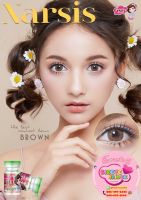 ?*มีค่าสายตา*?  Pretty Doll Narsis Brown บิ๊กอายสายตาปกติ powerlenses 125 250 275 150 50 0.00  75 300 รหัสสินค้า 045