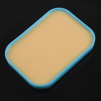 Surgical Incision Silicone Suture Training Pad Human Skin Model N6TH