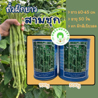 ถั่วฝักยาวสามชุก ถั่วสามชุก เป็นถั่วเส้น ยาว 60-65 cm มี 2 ขนาด 100g และ 500g