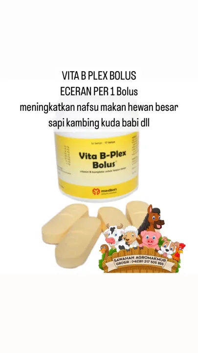 Vita B Plex 1 Bolus Vitamin B Kompleks Hewan Besar Sapi Kambing Kuda ...