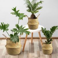 Woven Bamboo Storage Basket Folding Clothes Laundry Basket Straw Wicker Rattan Seagrass Belly Garden Flower Pot Plant Basket