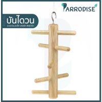 Parrodise PDT-01 ของเล่นฟอพัส เลิฟเบิร์ด บันไดวน