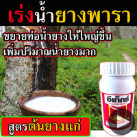 สารเร่งน้ำยางพารา ชนิดทา ( สูตร ต้นยางแก่ )  ขนาด 500 Cc. สารเร่งน้ำยาง ยาเร่งน้ำยาง สารทาหน้ายาง ยาทาหน้ายาง สารกระตุ้นน้ำยาง ฮอร์โมน