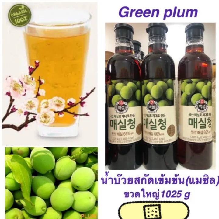ส่วนลดพิเศษ Green plum syrup ขวดใหญ่ 1025g Lazada.co.th