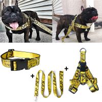 Fashion Dog Collar Leash Set Gold Chain Nylon Pets Dog Collar Leash Long Rope Lettered Collar Perro Collar for Pitbull Puppy Dog