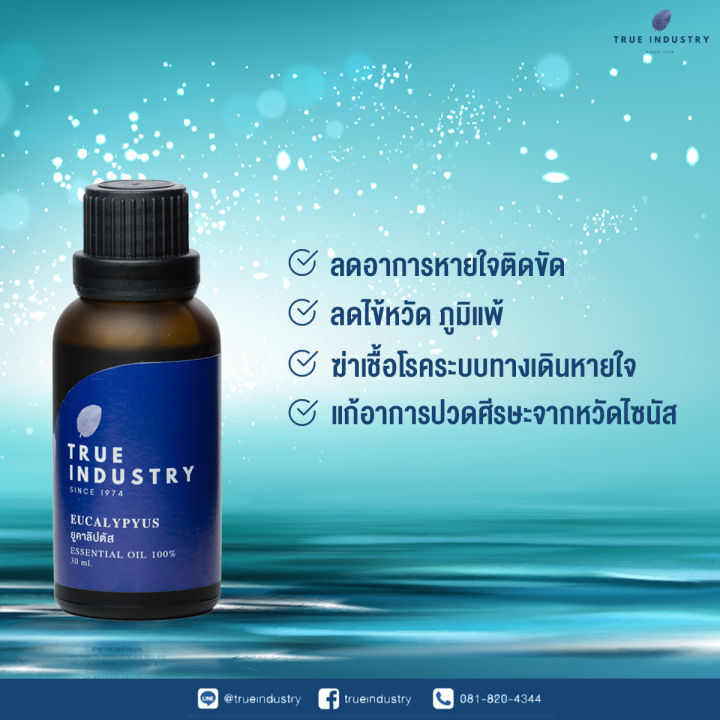 true-industry-premium-essential-oils-set-for-allergy-relief-เซตน้ำมันหอมระเหยสำหรับบำบัดภูมิแพ้-ไซนัส-และไมเกรน