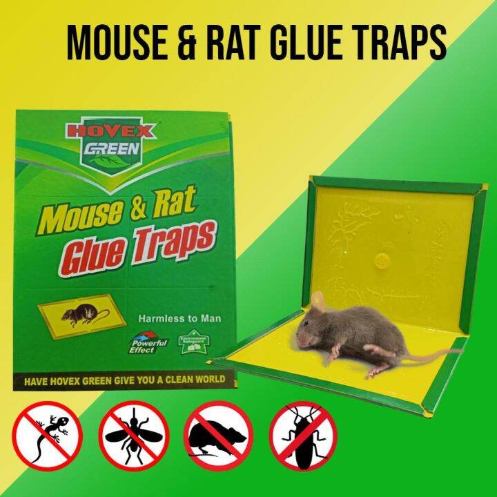 307 Rat & Mouse Sticky Mice Rodent Glue Board Bait Trap Mouse Rat Fly ...