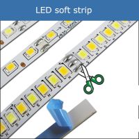 Flexible 2835 SMD Monochrome Double Colors LED StripWith a Constant Current for Living Room Ceiling LightsWork with LED Driver