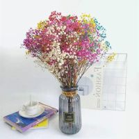 80g/lot Colorful Gypsophila Bouquets Natural Dried Flower Furnishing Living Room Decoration Christmas Decor Flore Secas